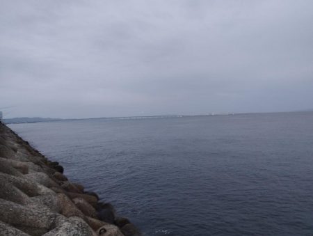 貝塚人工島 青物はお休みのようです。