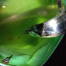 雨でも満員人工島