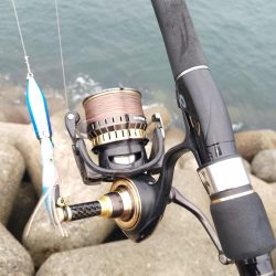 オマケ的に釣れたタチウオ…