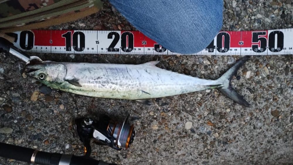 ガシリングのちショアジギング