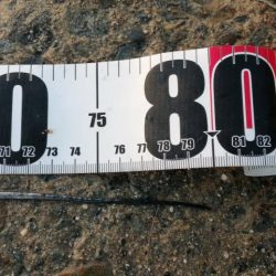 渋い、、、一方釣れたら良型。