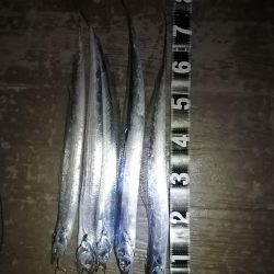 最近は短め😭早くメーター超えしたい❗