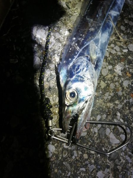 今日は全体的に渋め