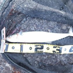 渋い状況の中でのヒット