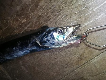 今週は先週よりも渋かった