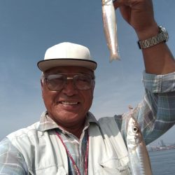 良型キスがアタリ始めました