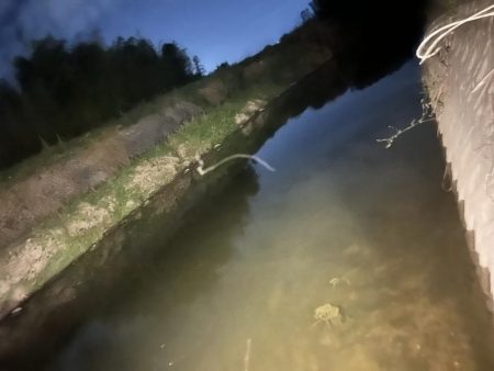 自作ルアーにて（ピーナッツ君）