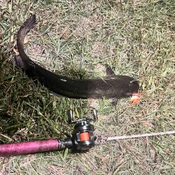 リベンジならず