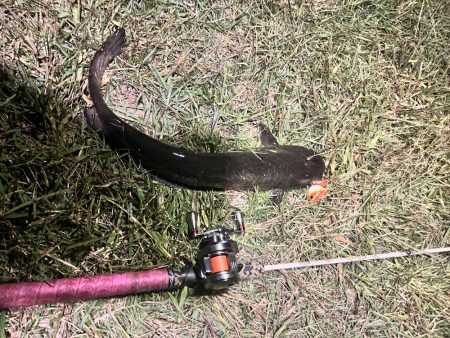 リベンジならず