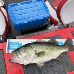 ディープホールでロクマル他