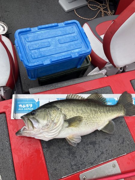 ディープホールでロクマル他