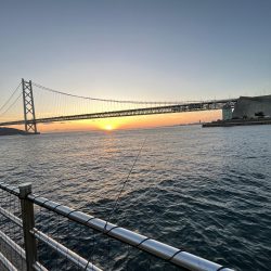 ウリボウだらけ