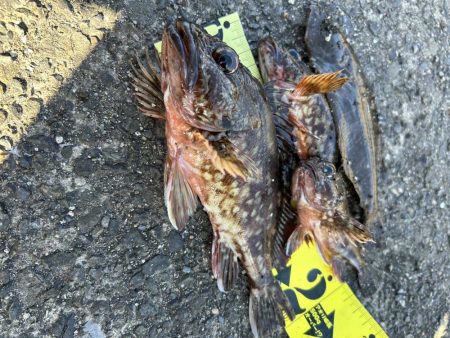 久しぶりの釣り