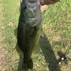 秋を感じながらのバス釣り