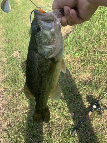 秋を感じながらのバス釣り