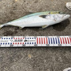 今年初青物NICE!!