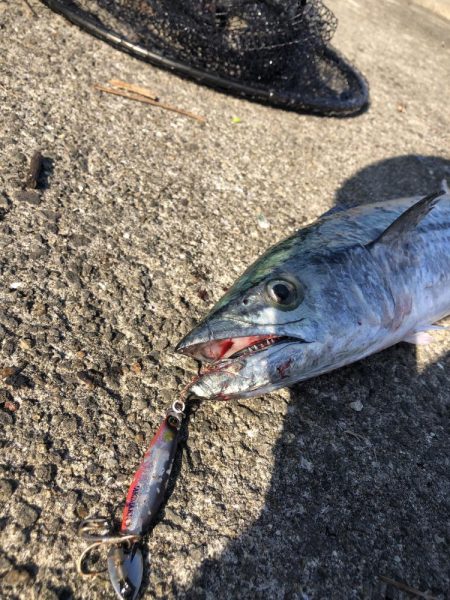 やっと今季1本目の！