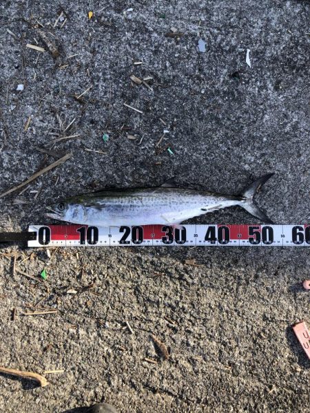 粘って良かった