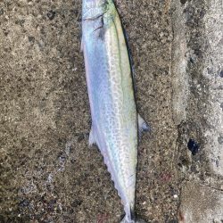 2023ライトゲーム第39戦