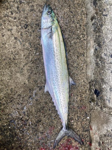 2023ライトゲーム第39戦