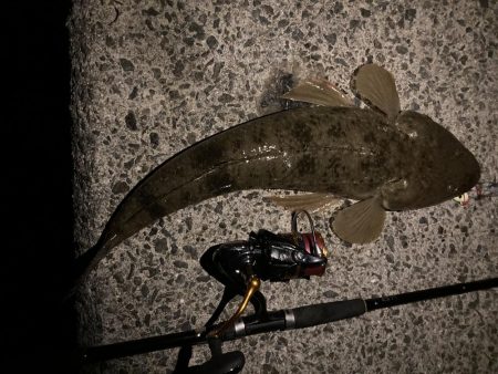 まさかのマゴチ