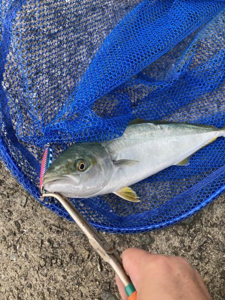 ライトショアジギング