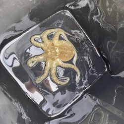 毎年恒例の年1イイダコ釣り