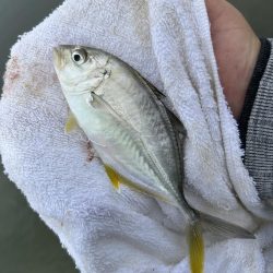 メッキが消えた…