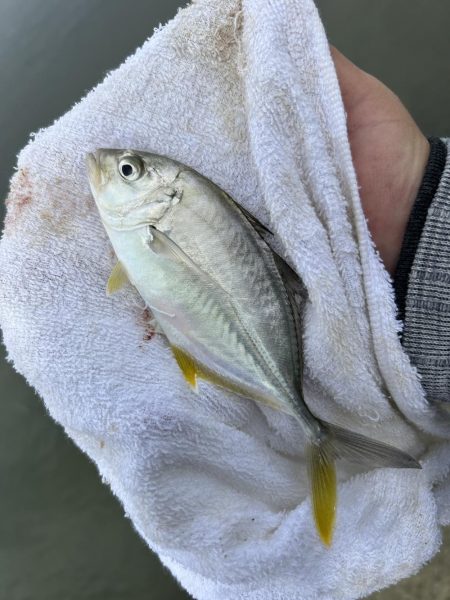 メッキが消えた…