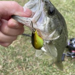 寒い朝のクランキング