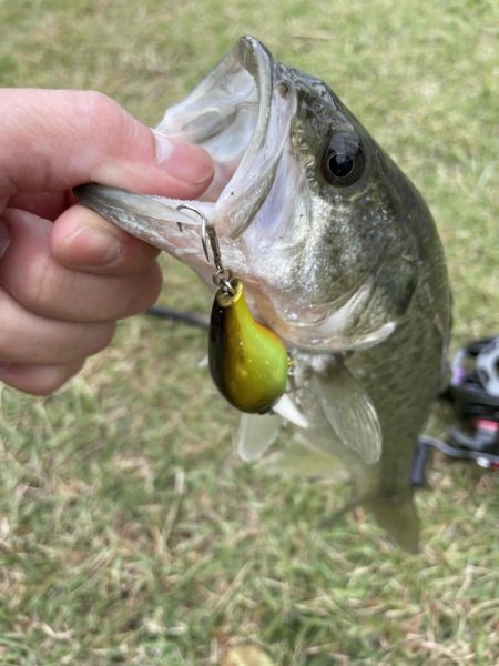 寒い朝のクランキング