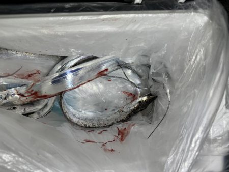 たっちゃーうお