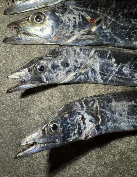 たっちゃうおあじ