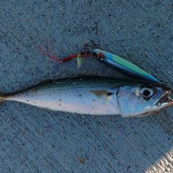 なんだかなぁ～。