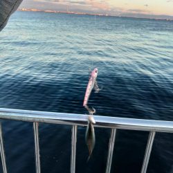 もう、終了ですか？