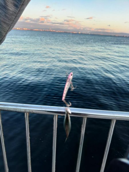 もう、終了ですか？