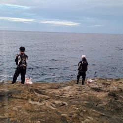 和歌山市江(吉丸渡船)でグレ釣り