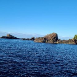 和歌山県串本出雲(谷口渡船)でグレ釣り