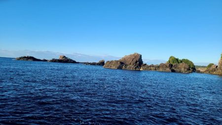 和歌山県串本出雲(谷口渡船)でグレ釣り
