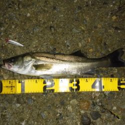 静けさの中での、まさかのHit！