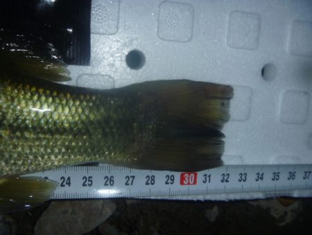 10月バス　その２