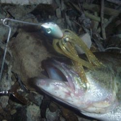 減水続き　その３