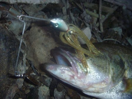 減水続き　その３