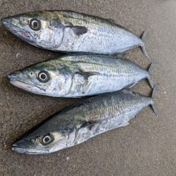 見渡す限りでNo.1