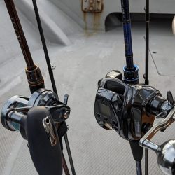 久しぶり淡路島