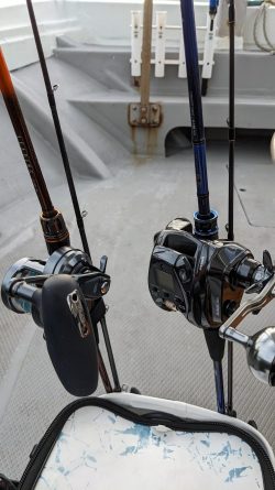 久しぶり淡路島