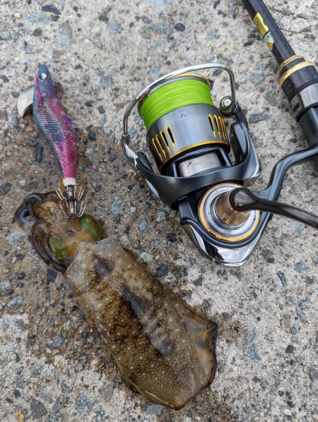 エギング、アジング、ハタゲーム