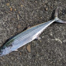 ブロックの境い目(笑)