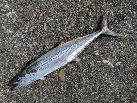 ブロックの境い目(笑)