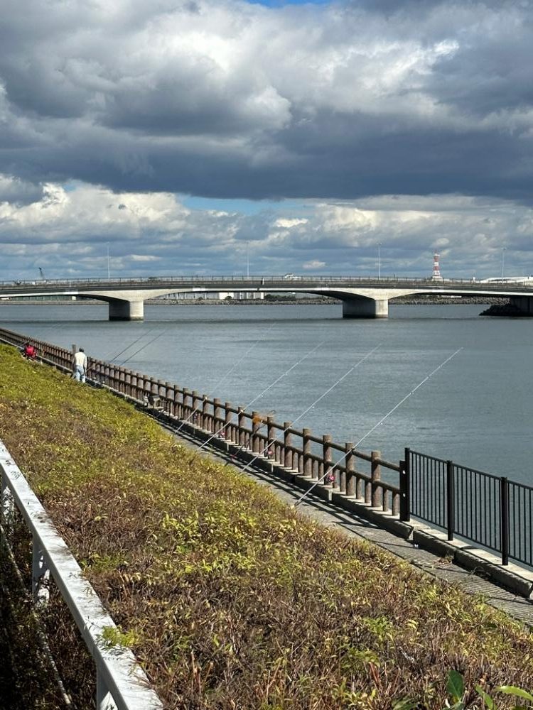 カレイ、五目釣り